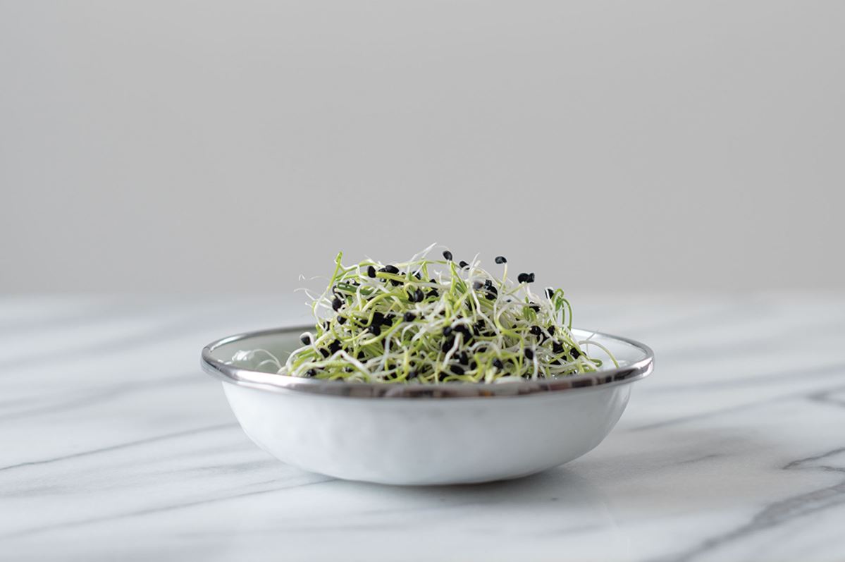 Onion – Organic Sprouting Seeds